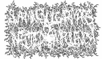 logo Swarming Vulgar Mass Of Infected Virulency
